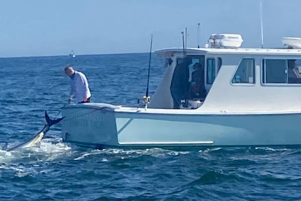 A large dog watches the dock as Tuna Tail Charters returns from charter.