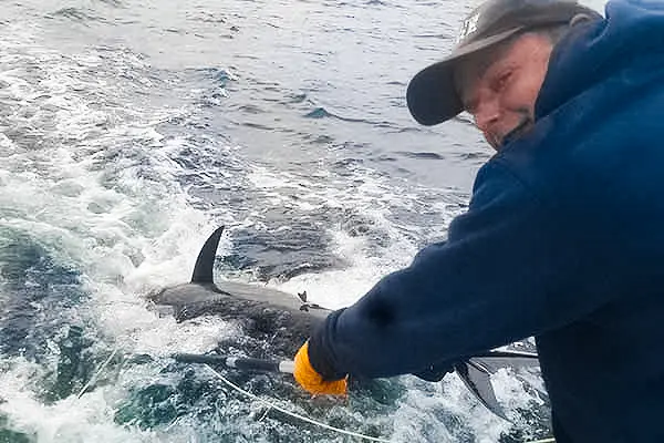 What Spring Bluefin Tuna Season Looks Like with Tuna Tail Charters in Gloucester