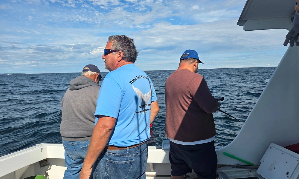 Is Late Season Tuna Fishing in Gloucester Still Worth Booking?