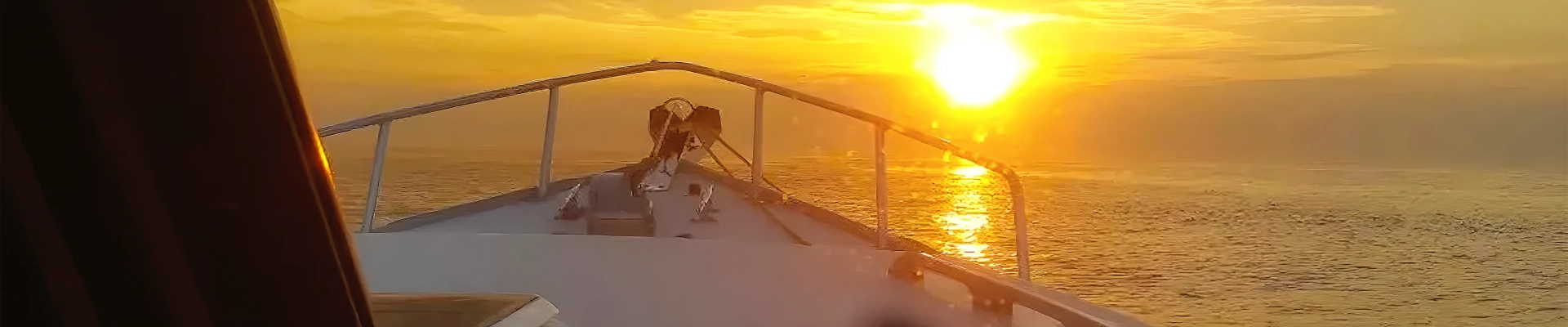 Tuna Tail Charters even has room for friendly dogs on board its custom 36' vessel.