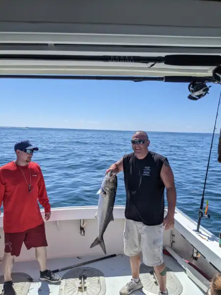 Bluefish Fishing Charters in Gloucester, MA