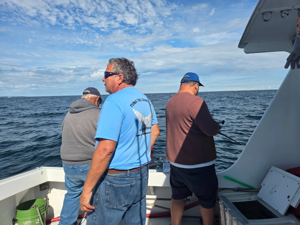 Is Late Season Tuna Fishing in Gloucester Still Worth Booking?