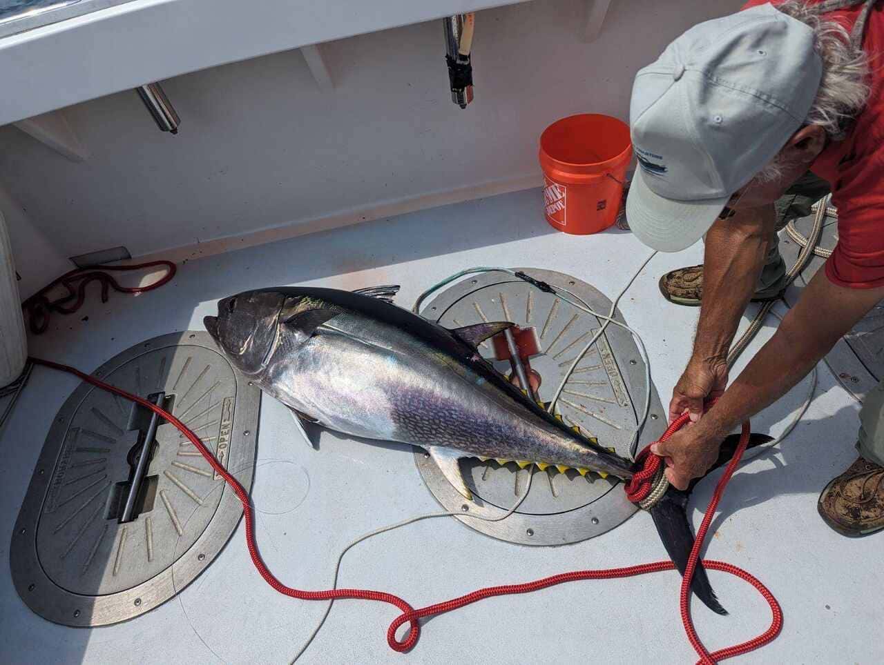 Late season tuna fishing in Gloucester is still worth booking for trophy bluefin and unique experiences.